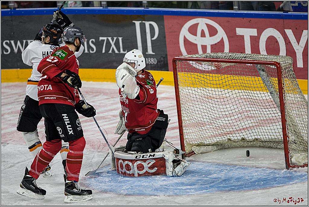 DEL, Koelner Haie - Grizzlys Wolfsburg, 12.03.2017